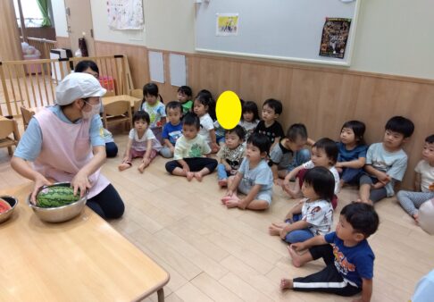 １歳児　食育　すいかに触ってみよう！