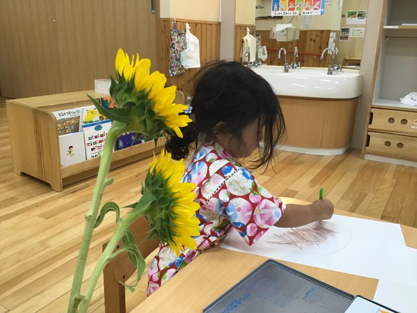 保育園に帰ってきた子どもたち。
「ひまわりは夏のお花だから夏が終わったら枯れちゃうのかな。」
「だったら絵に描いておけばいいんじゃない。」
花びらや葉を実際に触って、花の形、葉の感触を知ってから描きます。
子どもたちのひまわりが画用紙の上で咲きました🌻
そんな子どもたちの様子をひまわりもそっと見ていてくれているようでした。
市ヶ谷保育園では実際にあるものを五感を使って触れたり感じたりしながら
表現活動もしています。