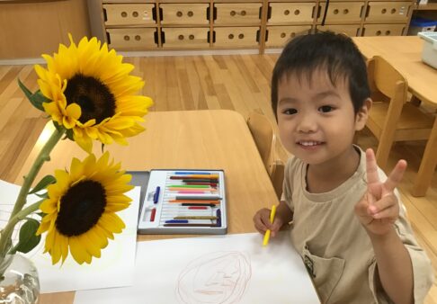 ３歳児　🌻ひまわり🌻
