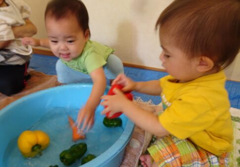 【１歳児】食育　「夏野菜カレー」