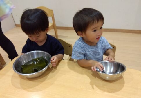 1歳児　りす組　「出汁の匂いをかいでみたよ」