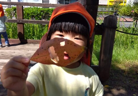 ２歳児　今週の様子