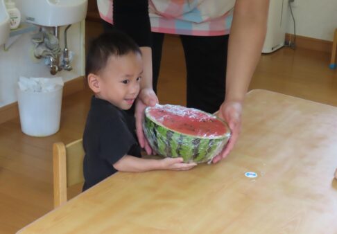 【２歳児】食育　「すいかのくりぬき　フルーツポンチ」