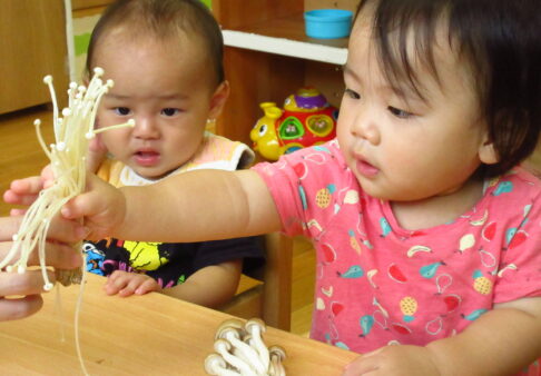0歳児　食育