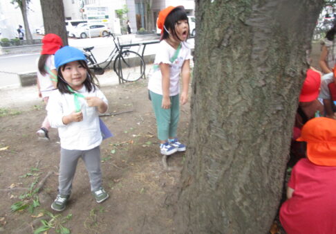 【３～５歳児】秋探しの旅