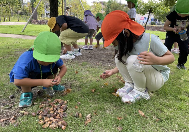 どんぐりひろい🌰秋を感じますね🍂