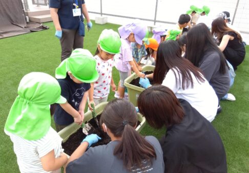 幼児　園庭で種植え🌱