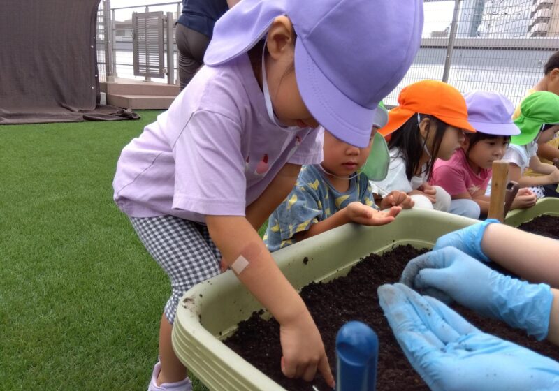 「大きくなーれ！」楽しそうに植えていました😄