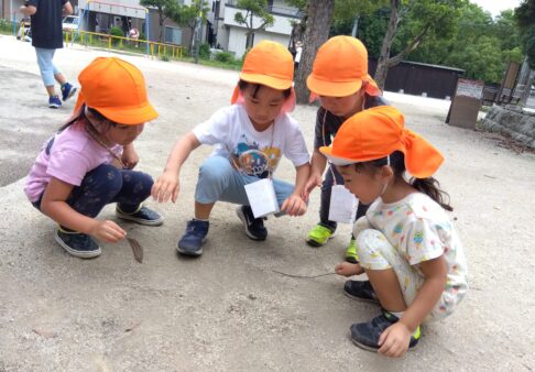 ４歳児　きりん組　「久しぶりの外遊び」
