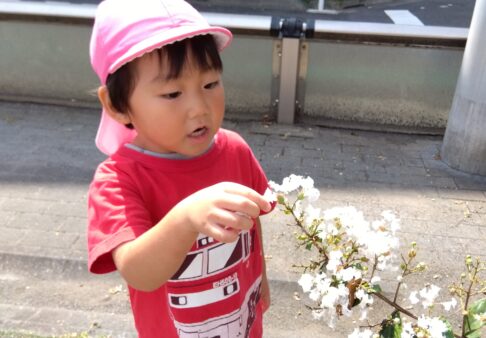 ３歳児　うさぎ組　「久しぶりの公園」