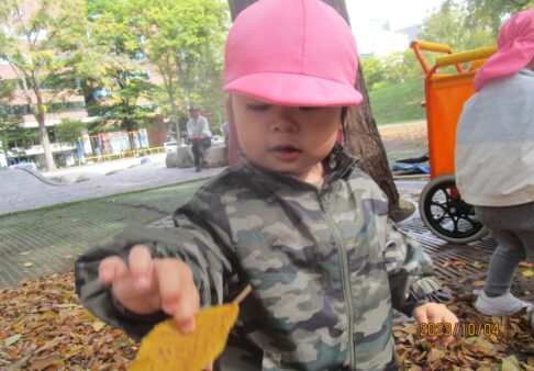 【1歳児】落ち葉を拾ったよ！