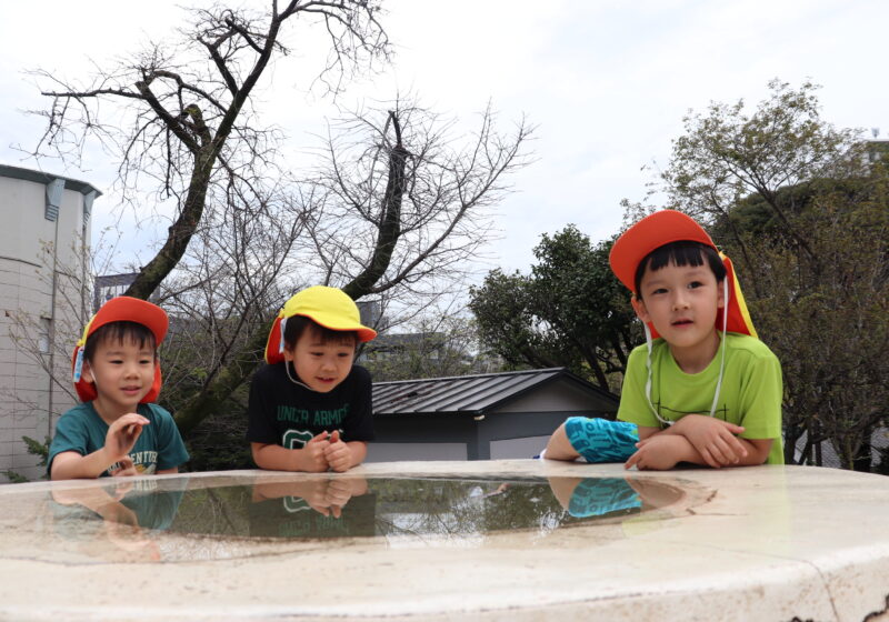 ん？この水は鏡みたいだな。僕が見える・・