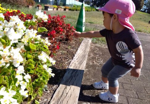 0歳児　お散歩