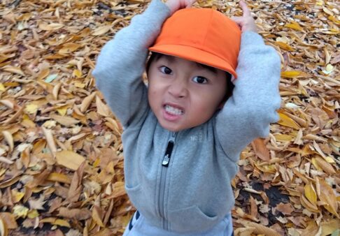 【4歳児】秋が深まってきました