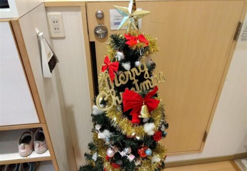 クリスマスツリーの飾り付け🎄