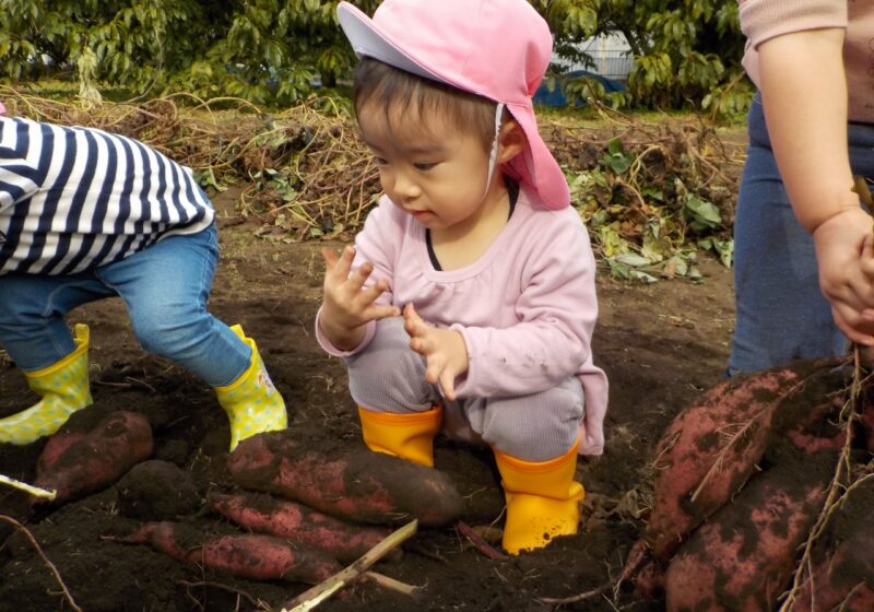 土が手についたけど大丈夫！