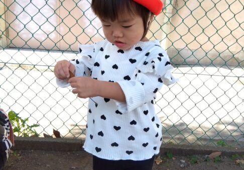 ０歳児　どんぐり拾い
