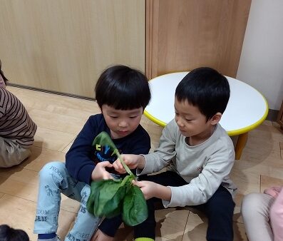 3歳児　今週の様子