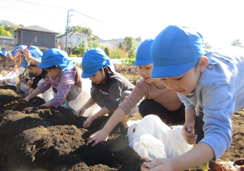 あ！大きい気がする