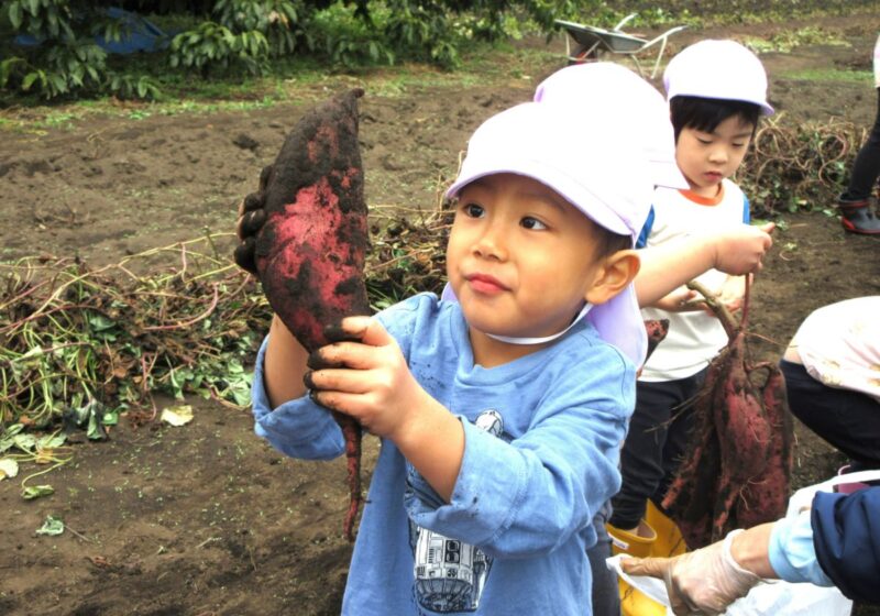 不思議な形だなぁ