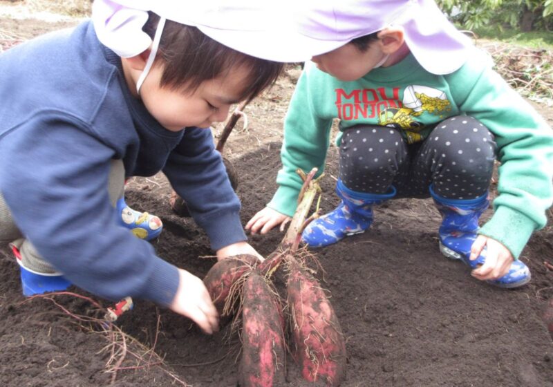 あ！まだ埋まってるよ！