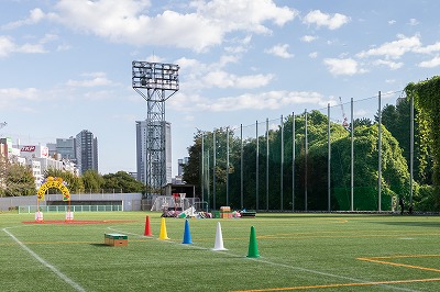 市ヶ谷保育園の運動会を１０月２１日（土）に四ツ谷の外濠総合グラウンドで行いました。
当日は快晴！
新しく人工芝になってとても気持ち良い環境で運動会をすることが出来ました。
１歳児さんはお父さんやお母さんと一緒にはらぺこあおむしになりきって果物を取ったり、果物の中をくぐったりしました。
普段の運動遊びで「ジャンプ、くぐる、ひっぱる」をしてきたので、この機会に子どもたちの成長も一緒に感じて頂きました。
