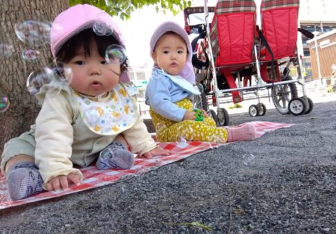 【2024年4月入園】お申込み状況について