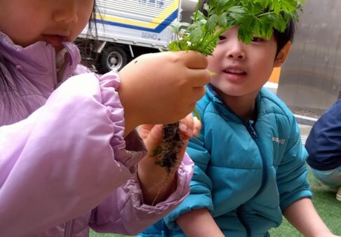 4歳児　すみれ組の様子