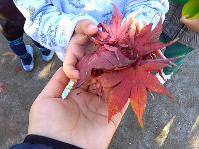 ３歳児★もみじ★