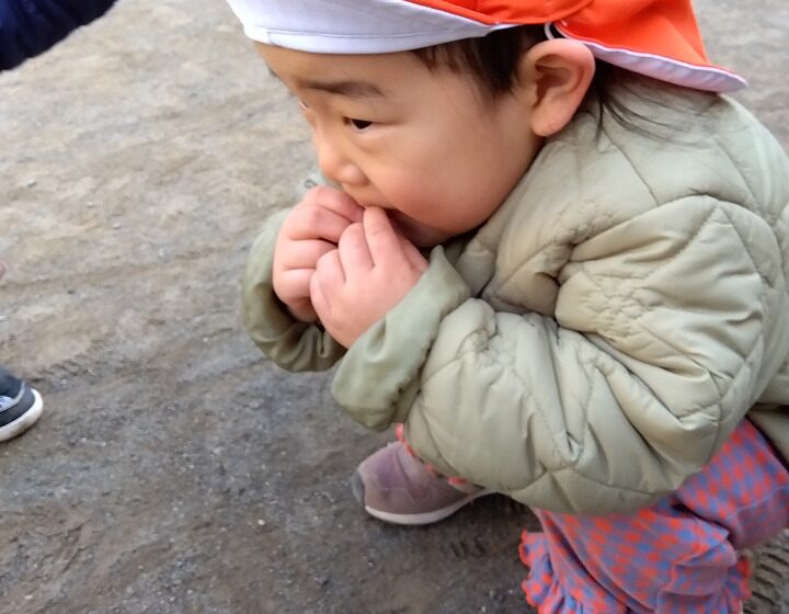 ♪森の小道～散歩にいこう～おおかみなんか怖くないよ～