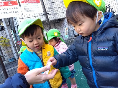 お友だちと一緒に体験した雪の遊びは１歳児さんに色の白さ、冷たさ、溶ける不思議さを教えてくれました。