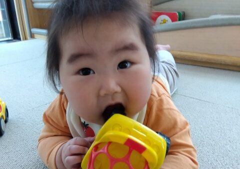 新クラスが始まりました～０・１歳児クラス～