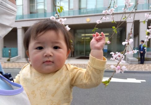 ０歳児～お散歩の様子～