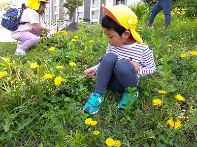 ４歳児☆戸外遊び　春を感じて☆