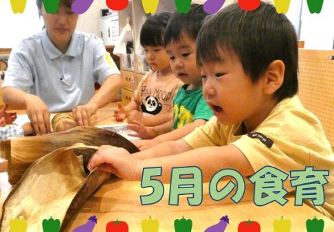 5月の食育の様子