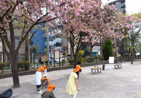 ５歳児　くじら組　東盛公園にお散歩🌳