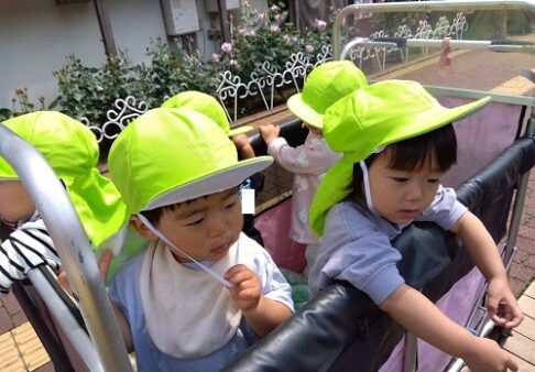 1歳児　りす組　お散歩に行ったよ🏞