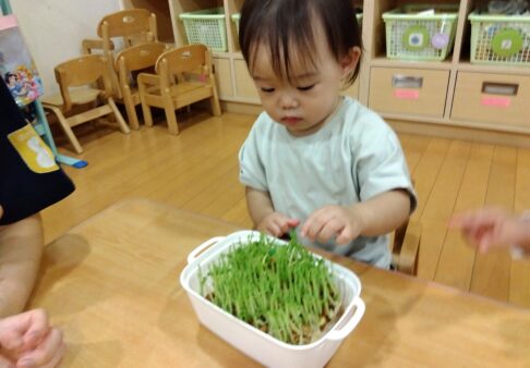 りすぐみ（１歳児クラス）☆食育