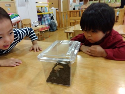 うさぎ組（２歳児クラス）☆５月の様子
