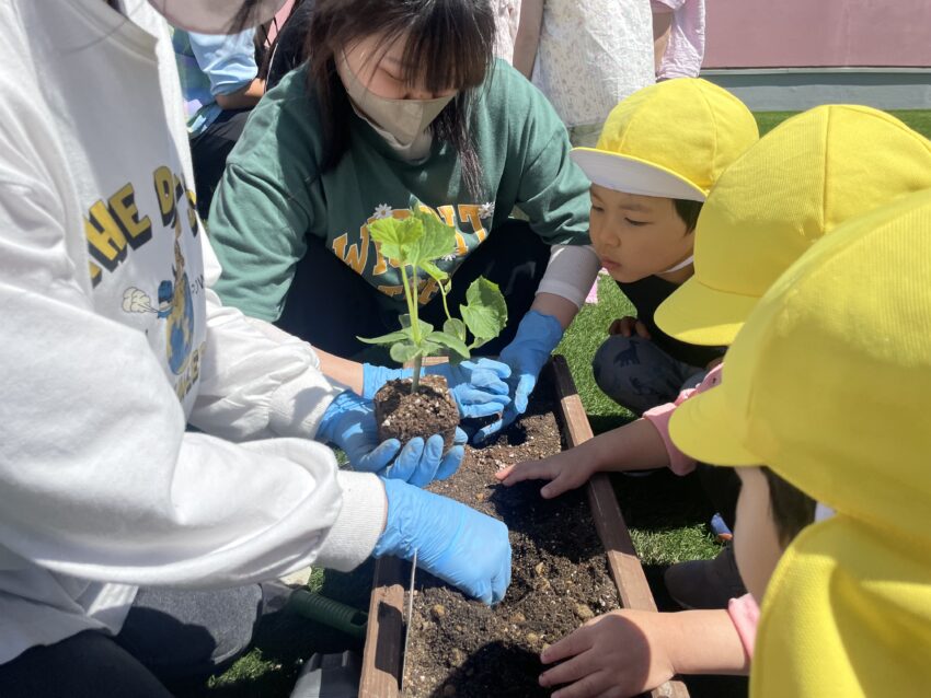 名古屋こども専門学校の食育コースの学生さんと一緒に野菜の苗を植えました🌱