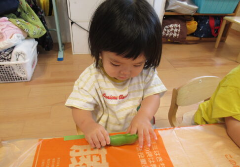 １歳児食育「そらまめ・グリーンピース」