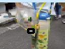 幼児ピクニック