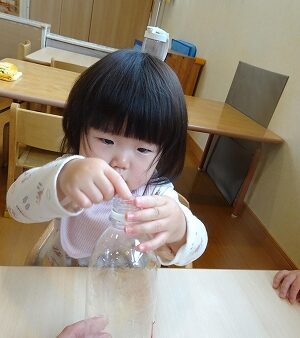 【1歳児】もやしの栽培