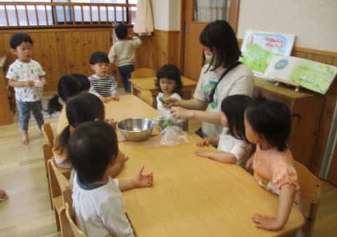 【食育】そらまめ　～2歳児クラス