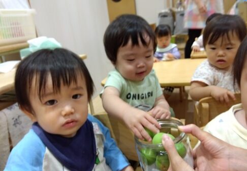 １歳児　りす組　梅ジュース作り🍹