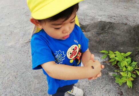 ２歳児　＊探索活動＊
