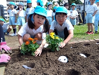 5歳児「花植えをしました☆」