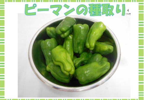 ♪2歳児　こぐま組　6月食育♪
