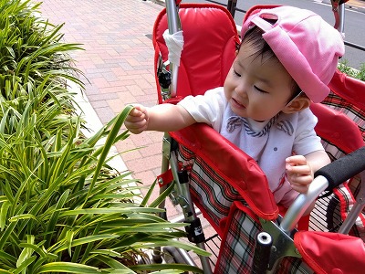 日々の様子をお見せします♪（０歳児）