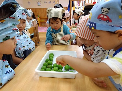 ３歳児★梅ジュース作り★